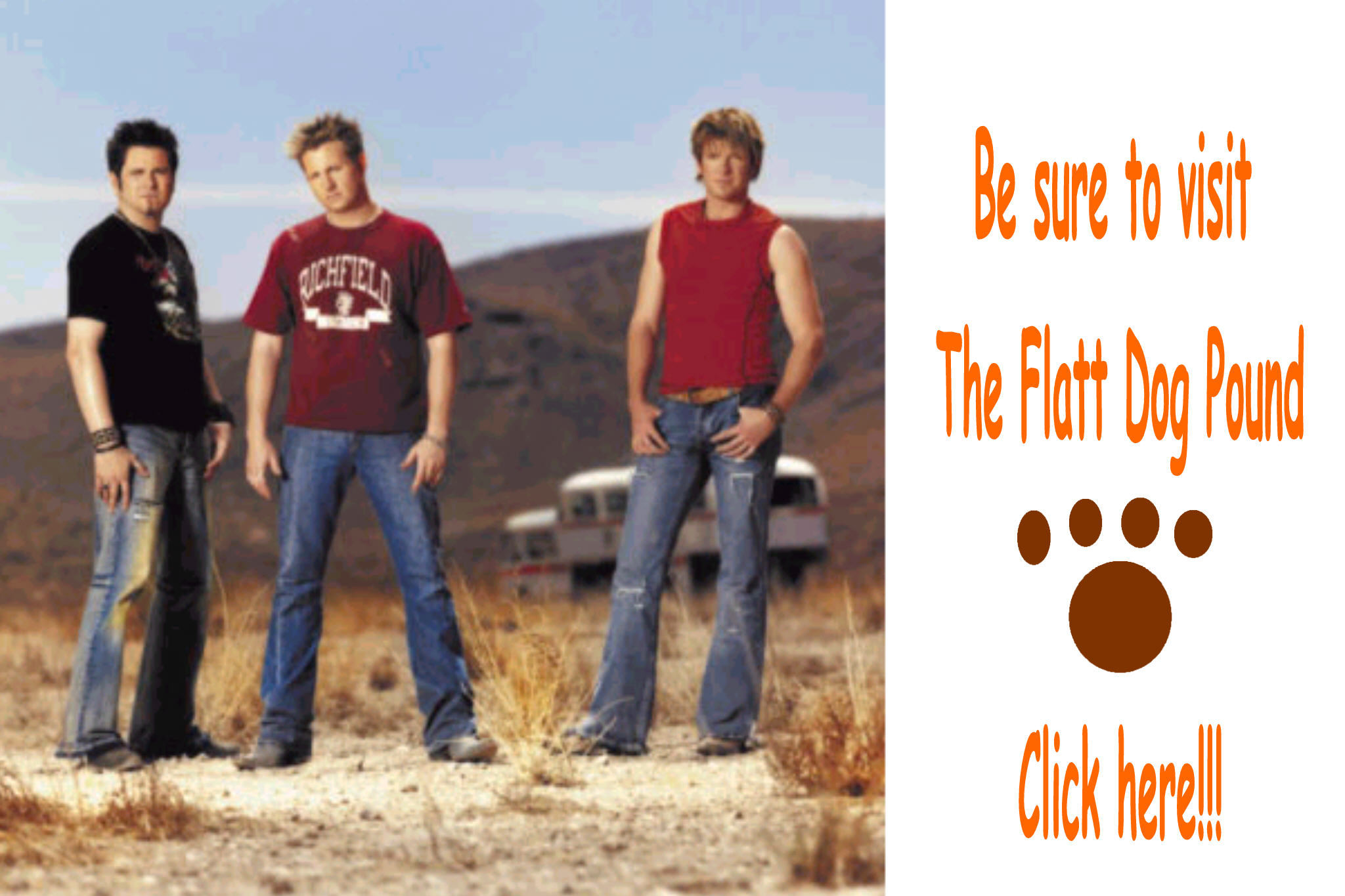 dogpound.jpg
